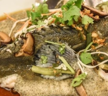 河老虎做法