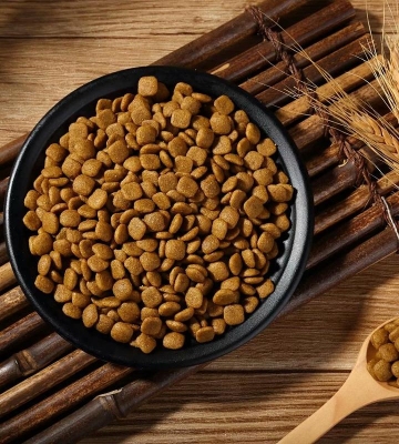 选择狗粮要考虑的东西