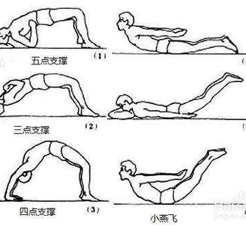 什么运动锻炼腰部肌肉