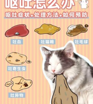乱吃东西呕吐怎么办
