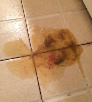 狗狗不吃东西拉肚子怎么办啊
