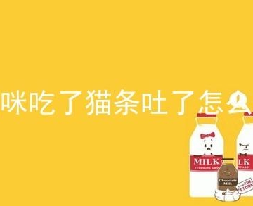 猫呕吐拉稀吃什么东西