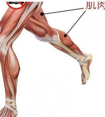 运动第二天肌肉酸痛