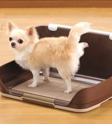 狗狗航空箱训练大小便