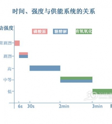 有氧运动的强度