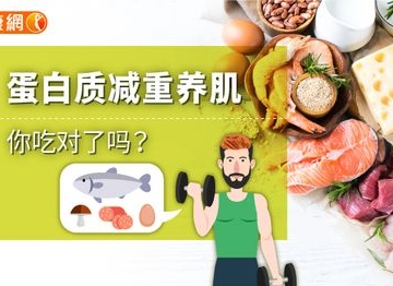 减肥运动 吃蛋白质粉