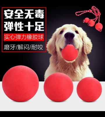 训练小狗的道具