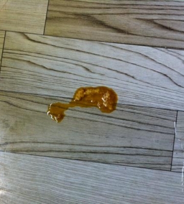 狗狗上吐下泄不吃东西怎么办