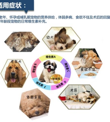 买什么东西可以给狗狗补维生素