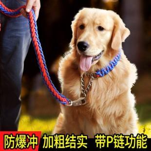 金毛训练套狗带