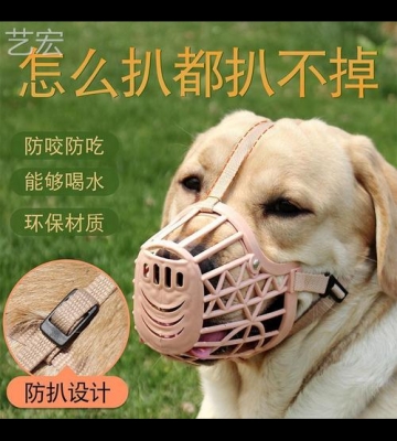 宠物用的东西怎么办