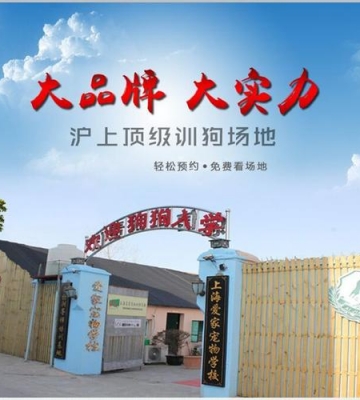 犬宠物训练学校