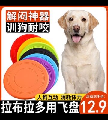 拉布拉多怎么训练接飞盘