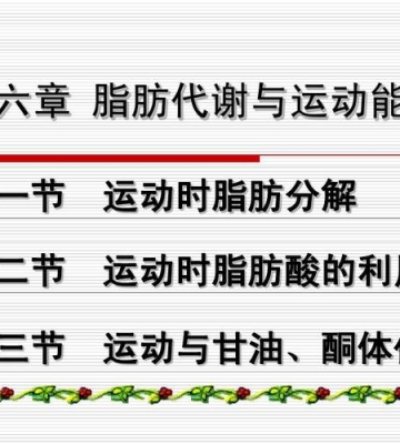 运动代谢是怎样的过程