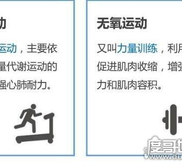 有氧运动和无氧运动的区别