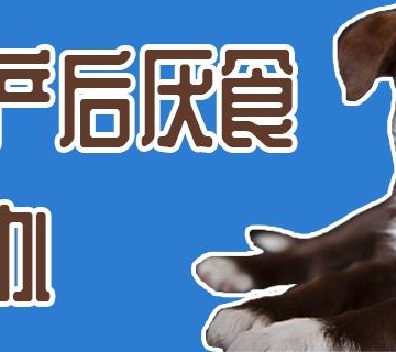 狗狗产后母狗不吃东西