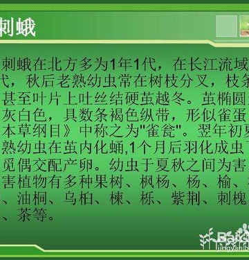 花卉栽培过程中常见的害虫