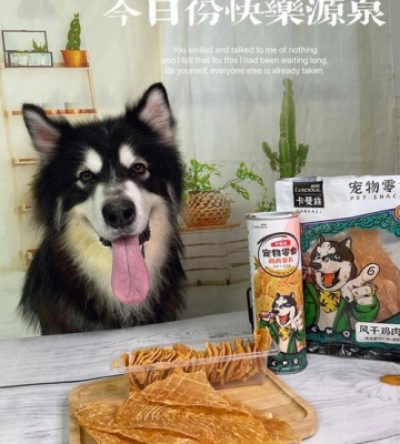 小狗 训练 零食