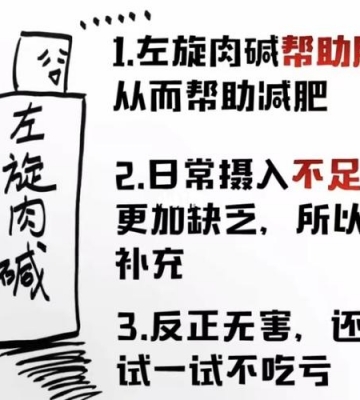 左旋肉碱运动