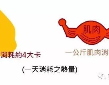 最耗脂肪的运动