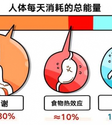 能量与运动的关系