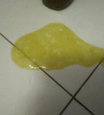 狗狗吐黄水白沫不吃东西