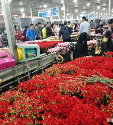 昆明花市进货注意事项