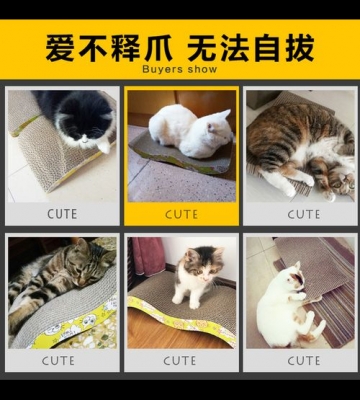如何训练猫到固定地方磨爪子