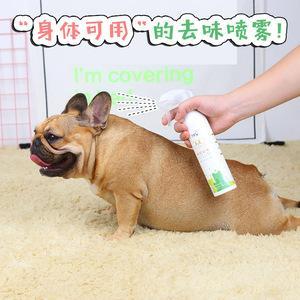 什么东西可以去狗狗体臭
