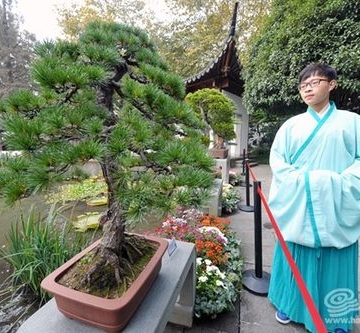 杭州艺术盆栽培训