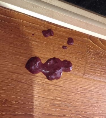 狗狗肠胃炎症还拉血 不吃东西 吐怎