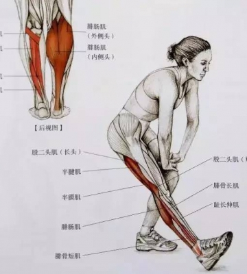 如何做腿部拉伸运动