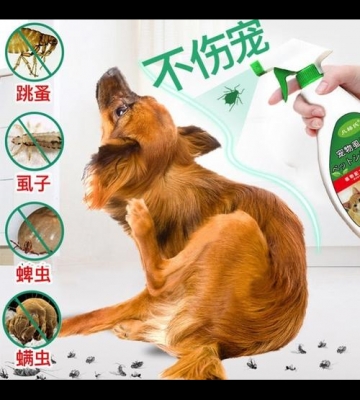如何训练狗狗喷药