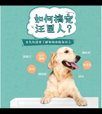 宠物上门训练规则