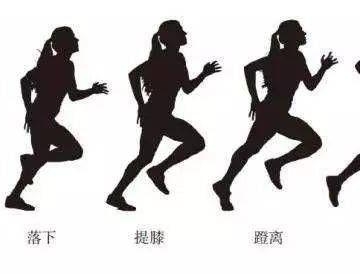 不伤膝盖运动
