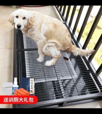 怎样训练大狗大小便