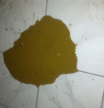 幼犬拉稀恶臭不吃东西