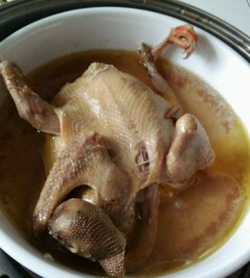 鸽子的做法