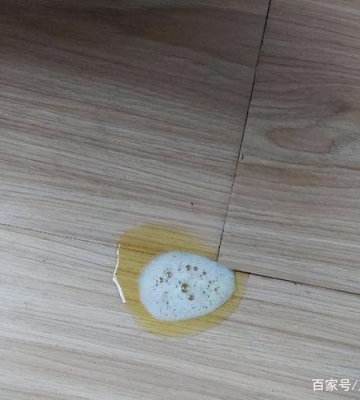 吃了不干净的东西吐