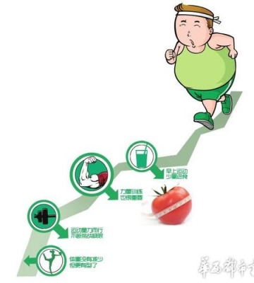 不运动的减肥方法