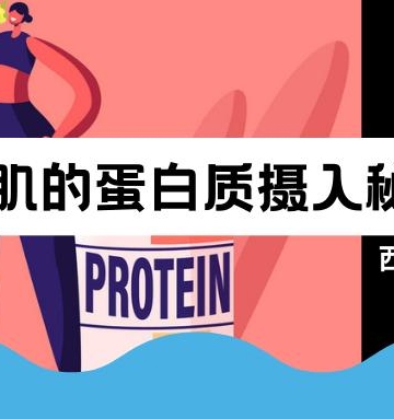运动后蛋白质