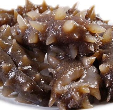 冻干海参的做法