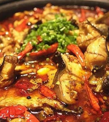 铁锅鲶鱼的做法