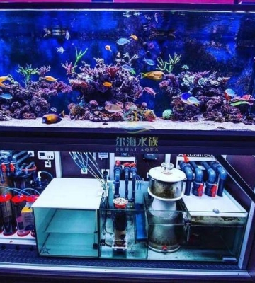 清理海水缸的东西