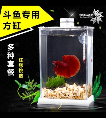 斗鱼鱼缸布置需要什么东西