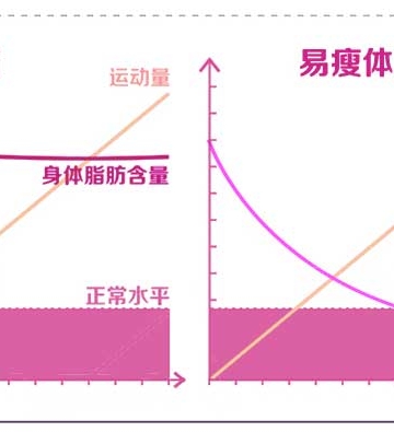 运动 脂肪转化