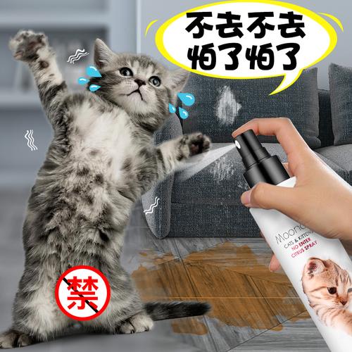 防止猫乱抓东西
