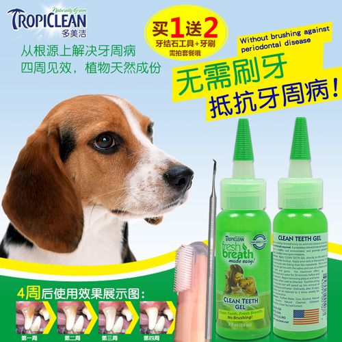 给狗狗清洁牙齿的东西