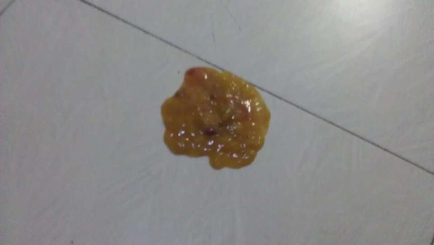 泰迪吃坏东西拉肚子怎么办