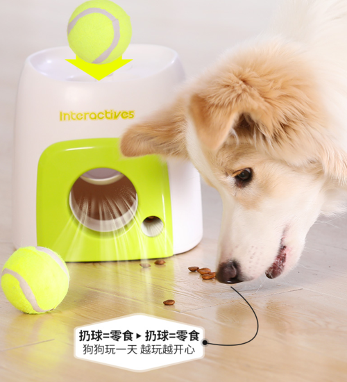 狗狗用到的东西
